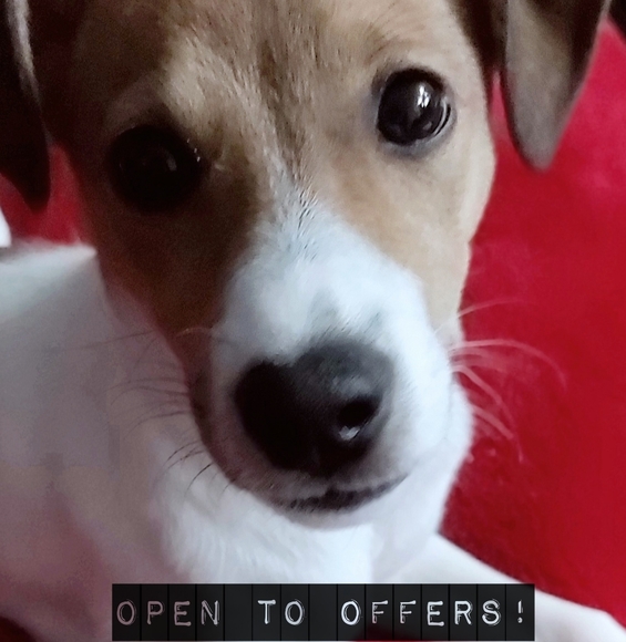 Meet your Posher, Scott - Picture 3 of 3